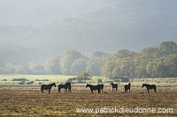 Maremma, Tuscany - Maremme, Toscane - it01112