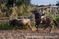 Buttero, Maremma, Tuscany - Buttero, Maremme, Toscane - it01127