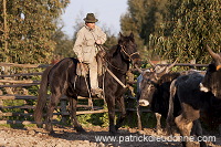 Buttero, Maremma, Tuscany - Buttero, Maremme, Toscane -  it01129