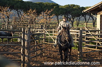 Buttero, Maremma, Tuscany - Buttero, Maremme, Toscane - it01136