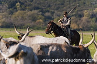 Buttero, Maremma, Tuscany - Buttero, Maremme, Toscane - it01162