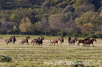 Buttero, Maremma, Tuscany - Buttero, Maremme, Toscane - it01170