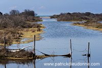 Maremma, Tuscany - Maremme, Toscane - it01220