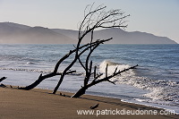 Maremma, Tuscany - Maremme, Toscane - it01474 Maremma, Tuscany - Maremme, Toscane - it01474