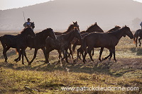 Buttero, Maremma, Tuscany - Buttero, Maremme, Toscane - it01535