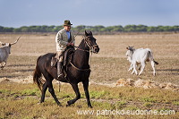 Buttero, Maremma, Tuscany - Buttero, Maremme, Toscane - it01572