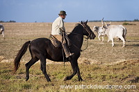 Buttero, Maremma, Tuscany - Buttero, Maremme, Toscane - it01574