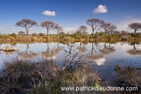Maremma, Tuscany - Maremme, Toscane - it01597 Maremma, Tuscany - Maremme, Toscane - it01597