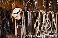 Tack room, Tuscany - Sellerie, Toscane - it01616