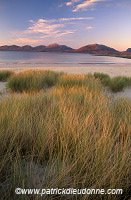 Marram grass, dunes, Harris, Scotland - Harris, Ecosse - 18589