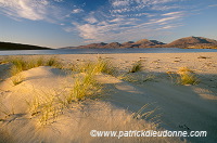 Marram grass, dunes, Harris, Scotland - Harris, Ecosse - 18590