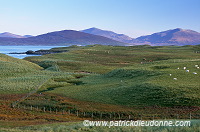 Dunes and machair, Harris, Scotland - Harris, Ecosse - 18599