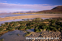 Seilebost Beach, Harris, Scotland - Harris, Ecosse - 18612