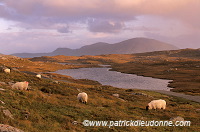 North Harris Hills near Govig, Harris, Scotland - Ecosse - 18628