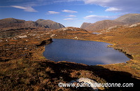 Forest of Harris, N. Harris, Scotland - Harris, Ecosse - 18631