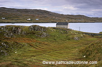 Lazybeds on South Harris, Scotland - Harris, Ecosse -  18636