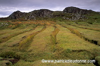 Lazybeds on South Harris, Scotland - Harris, Ecosse -  18638