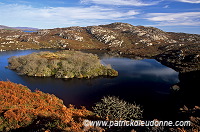 Lochan, trees, South Harris, Scotland - Harris, Ecosse - 18657