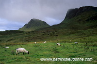 The Quiraing, Skye, Scotland - Le Quiraing, Skye, Ecosse - 19408