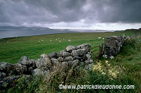 Loch Bay, Waternish peninsula, Skye, Scotland - Ecosse - 19419