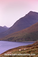 Cuillins range and Blaven, Skye, Scotland -  Ecosse - 19425