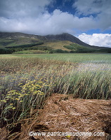 Loch Cill Chriosd, Skye, Scotland - Loch Cill Chriosd, Skye, Ecosse  15916