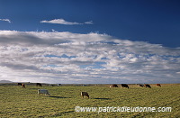 Crofting land, South Uist, Scotland - South Uist, Ecosse - 18795