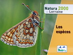 Livre Natura 2000 en Lorraine