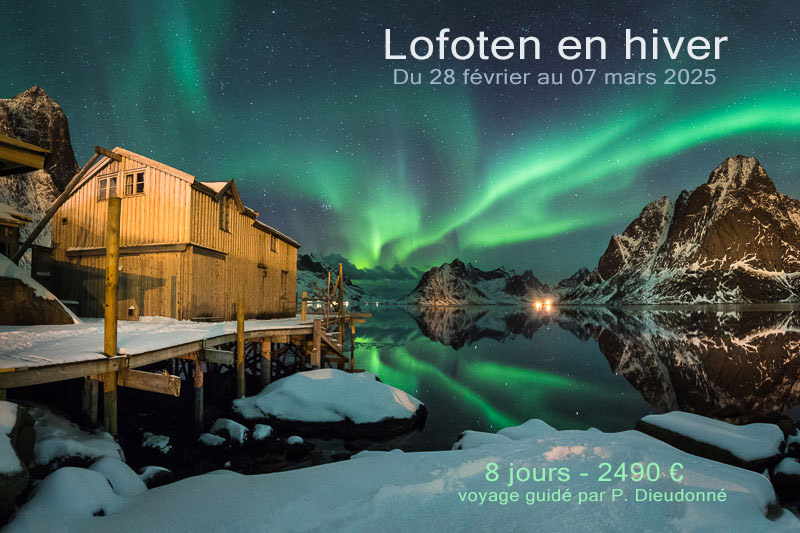 Photo tour, Lofoten 2025