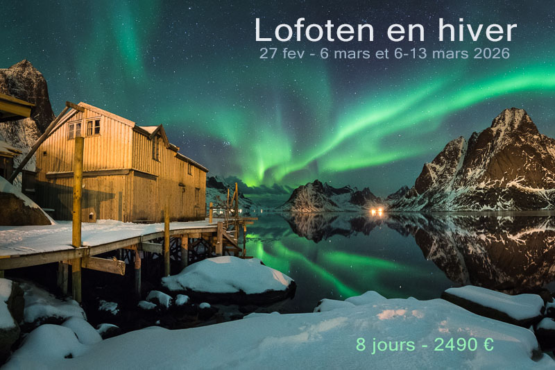 Voyage photo Lofoten 2026
