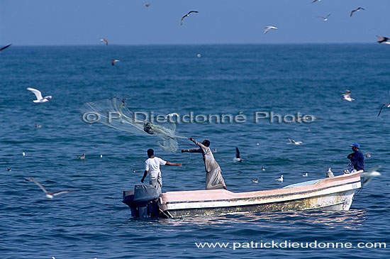 Mughsayl, Dhofar. Fishermen at work - Pecheurs au travail, Oman (OM10323)