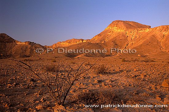 Quryat (Qurayyat), semi-desertic coastal plain - Quryat, Oman (OM10278)
