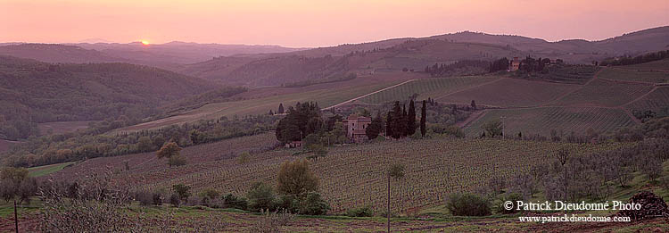 Tuscany, Chianti, Sunset & vineyards - Toscane, Chianti  12094