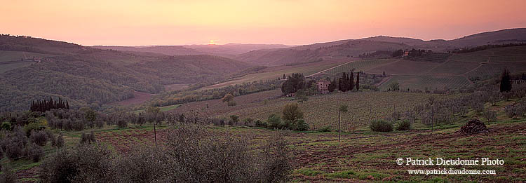 Tuscany, Chianti, Sunset & vineyards - Toscane, Chianti  12095