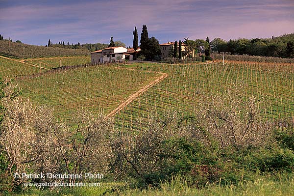 Tuscany, Chianti, vineyards - Toscane, Chianti, vignes  12140
