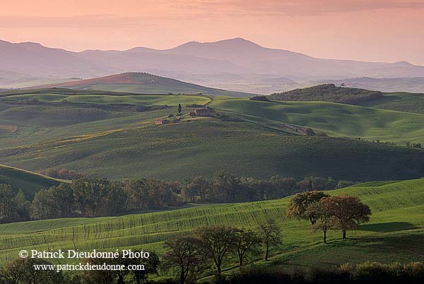 Tuscany, countryside in Val d'Orcia  - Toscane, Val d'Orcia  12656