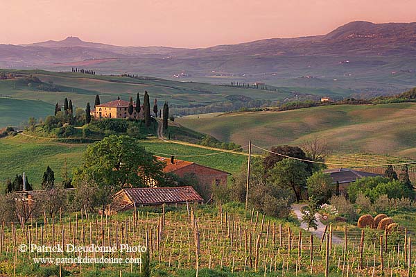 Tuscany, countryside in Val d'Orcia  - Toscane, Val d'Orcia  12658