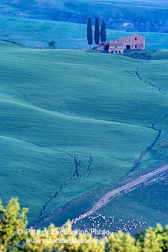Tuscany, countryside in Val d'Orcia  - Toscane, Val d'Orcia  12734