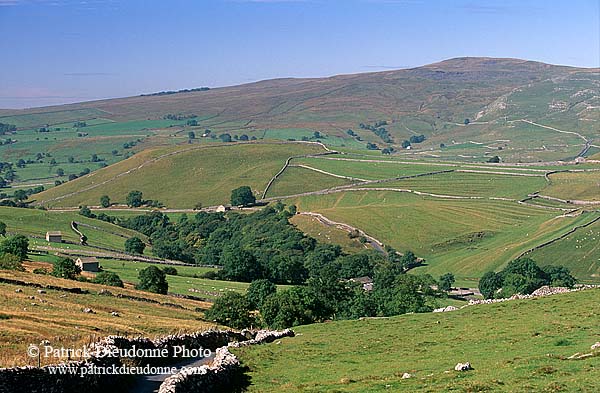 Malham typical landscape, Yorkshire NP, England -  Près de Malham   12912