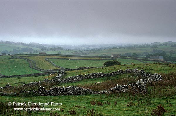 Malham typical landscape, Yorkshire NP, England -  Près de Malham   12917