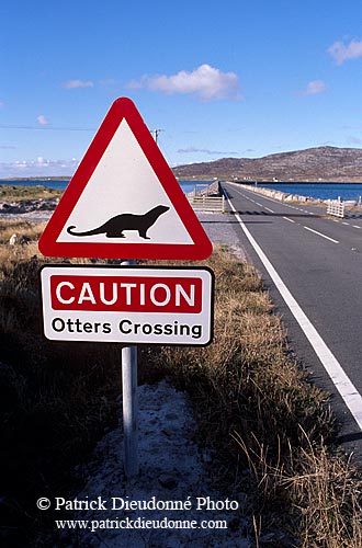 Otters road sign  - Attention, loutres, Shetland  13478
