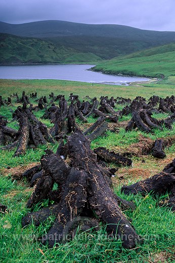 Northmavine: peat drying, Shetland, Scotland - Tourbe séchant, Shetland  13615