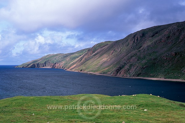 Northmavine: Ronas Voe from Heylor, Shetland - Le fjord de Ronas Voe, Northmavine  13644