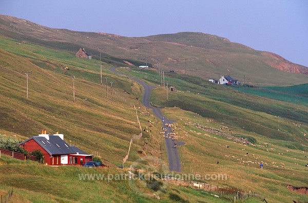 Northmavine: Heylor (Ronas Voe), Shetland - Heylor et Ronas Voe 13648