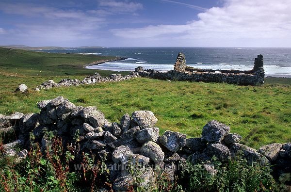 Abandoned house near Sandwick, Unst - Maison en ruines sur Unst 13742