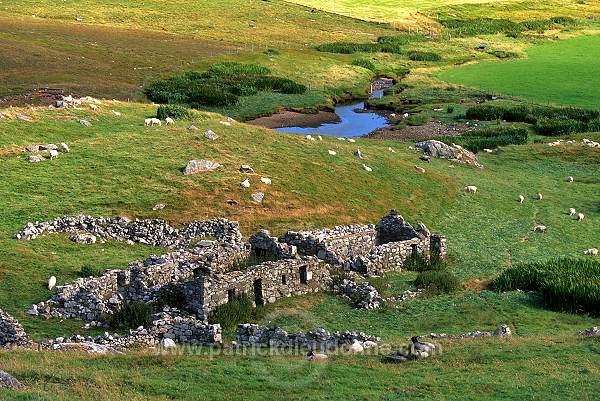 Abandoned house, Northmavine, Shetland -  Maison en ruines 13745