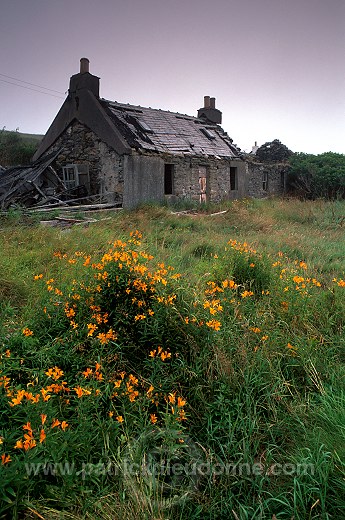 Abandoned house at Northdale, Unst - Maison en ruines sur Unst  13754