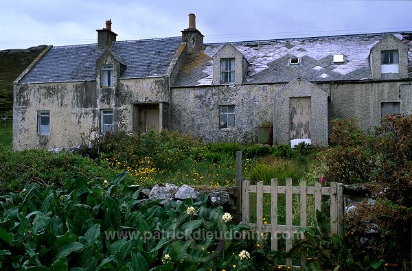 Abandoned house, Shetland - Maison en ruines 13756