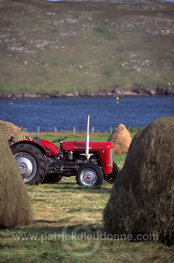 Crofting land, Northmavine, Shetland - Terres agricoles sur Northmavine  13958