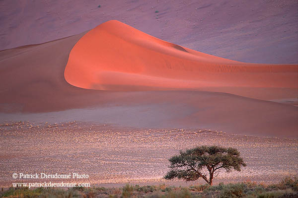 Red sand dunes, Sossusvlei, Namibia - Dunes, desert du Namib (14268)